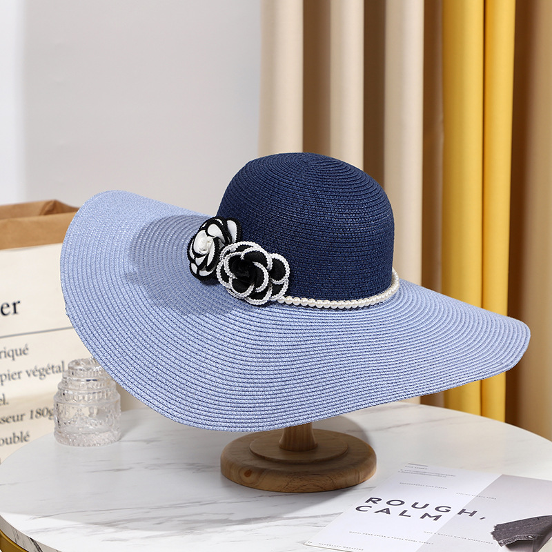 Two Tones Wide Brim Summer Hat - đánh giá và giá Hat Floppy Wide