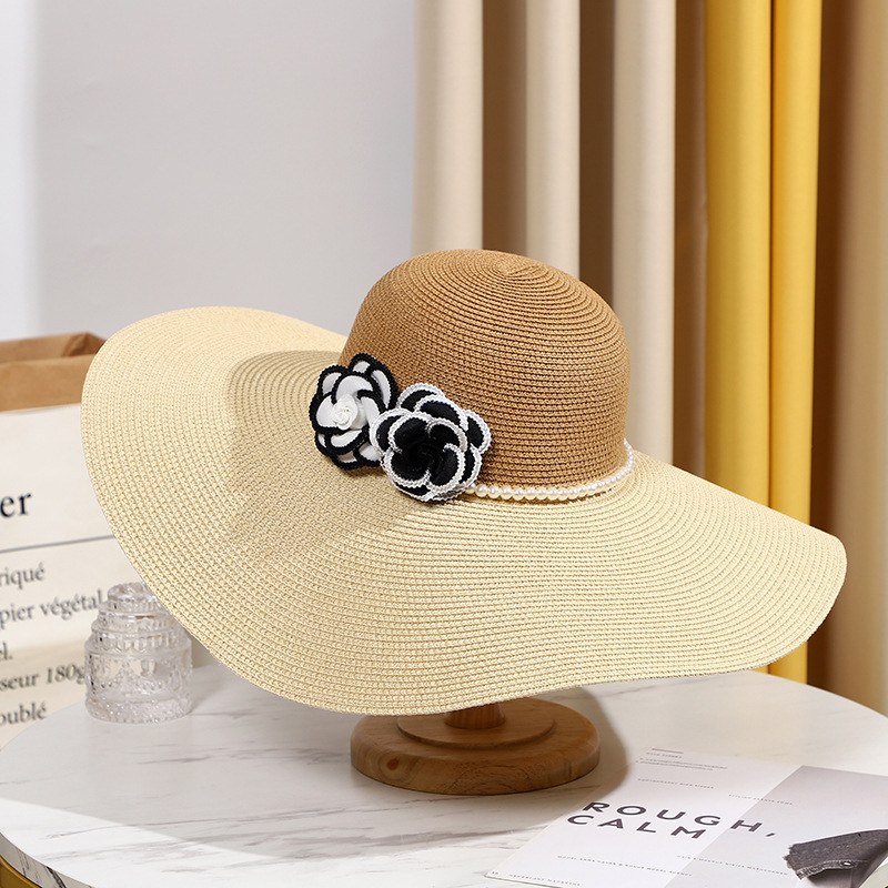 Two Tones Wide Brim Summer Hat - đánh giá và giá Hat Floppy Wide